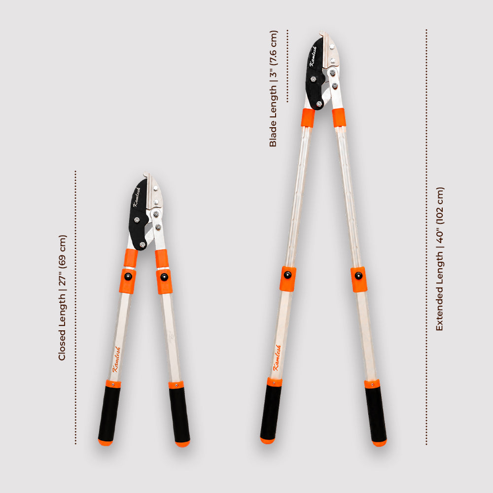 Heavy Duty Anvil Branch Cutter with Telescopic Aluminum Handles