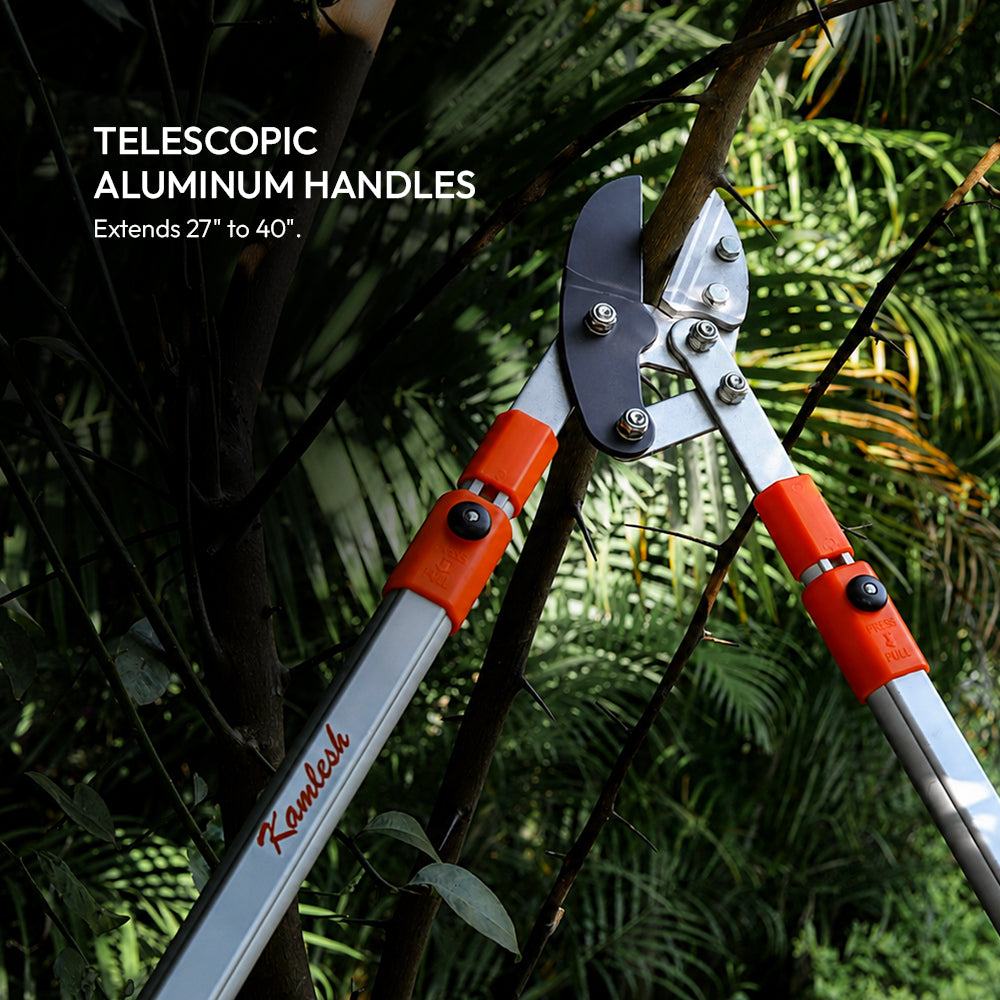 Heavy Duty Anvil Branch Cutter with Telescopic Aluminum Handles