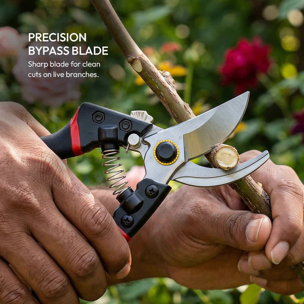 Pruning Shear