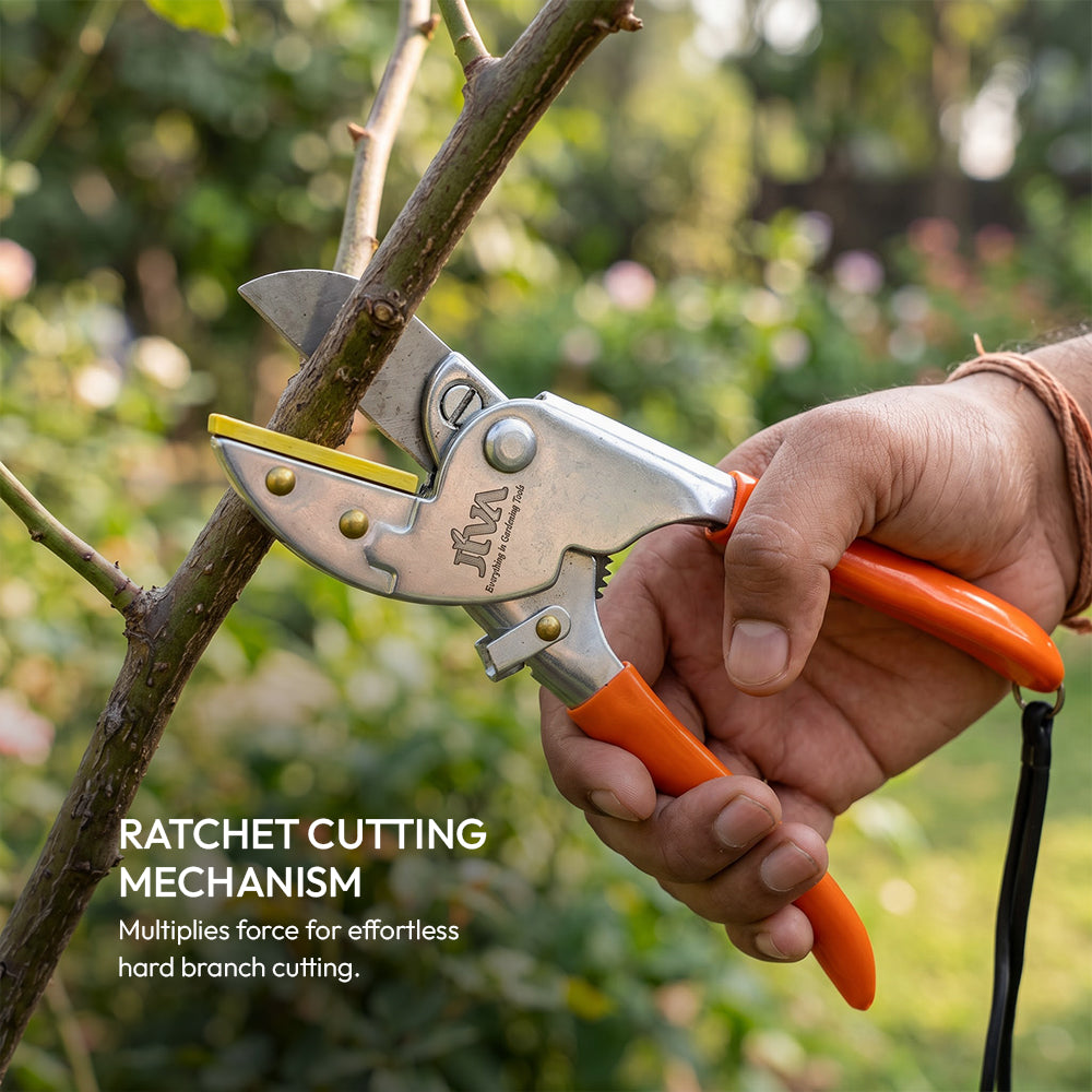 Roll-Cut Secateur - JIVA