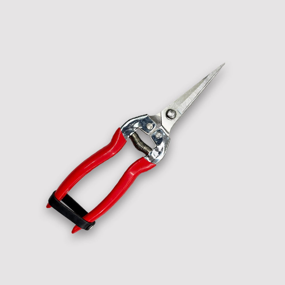 Stainless Steel Clipper