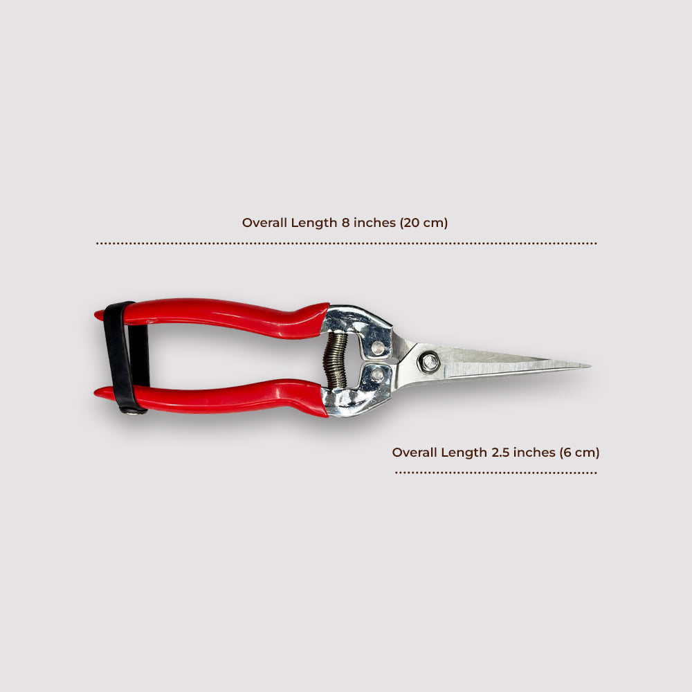Stainless Steel Clipper