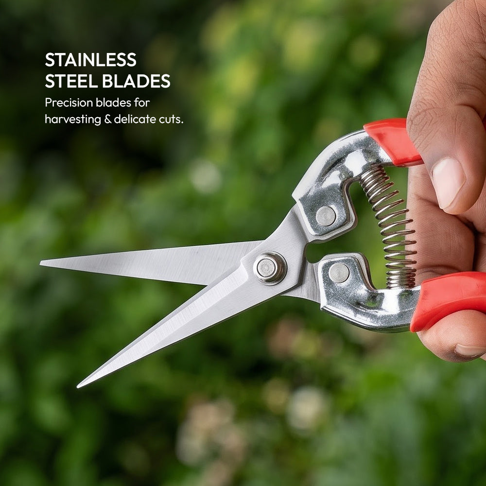 Stainless Steel Clipper