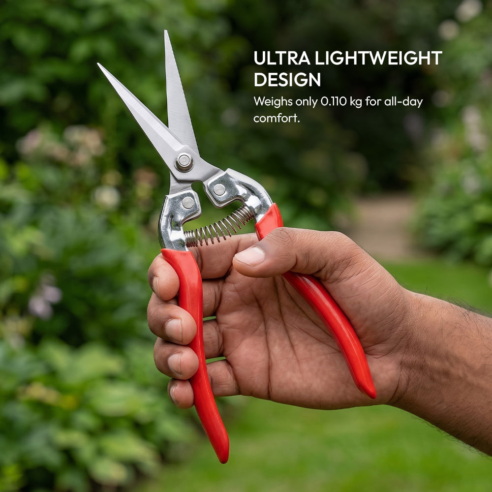 Stainless Steel Clipper