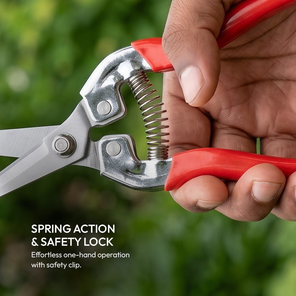 Stainless Steel Clipper